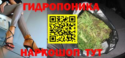 соль ск Моздок
