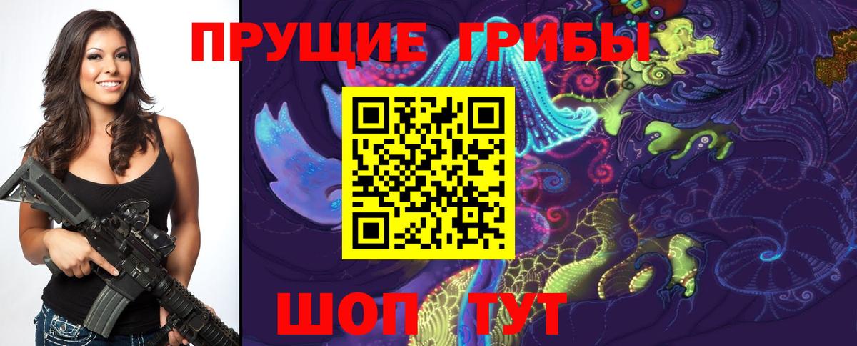 Будённовск  даркнет сайт  Вход с VPN  Галлюциногенные грибы ЛСД 